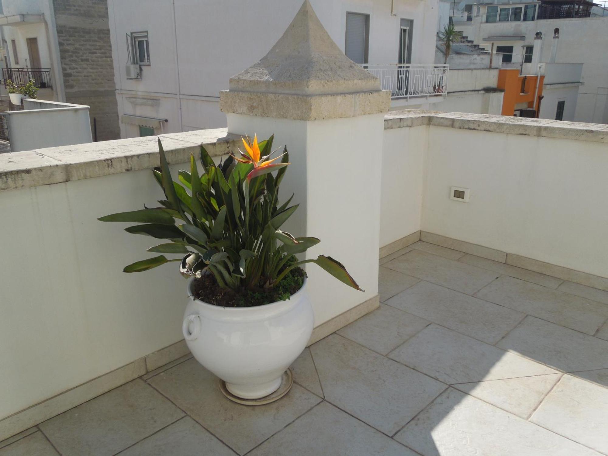 Bed and Breakfast Dimora Girolamo Polignano a Mare Zewnętrze zdjęcie
